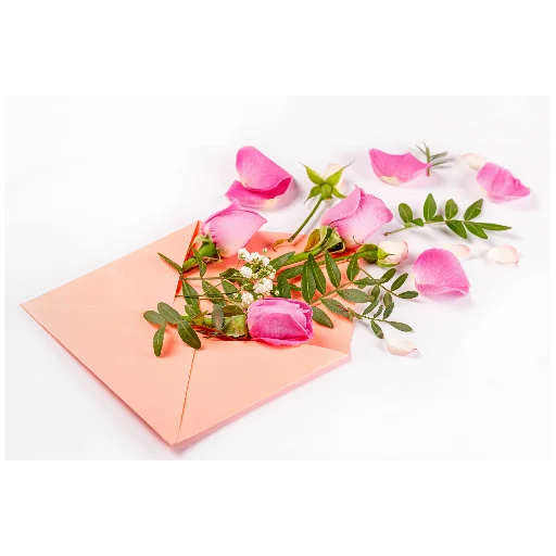 роза лепесток розовый