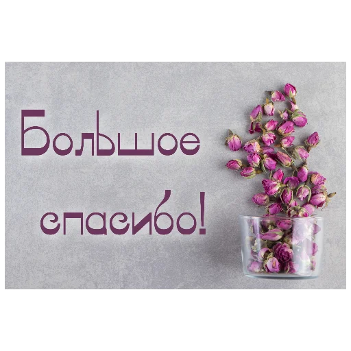 СМС пурпурный розовый