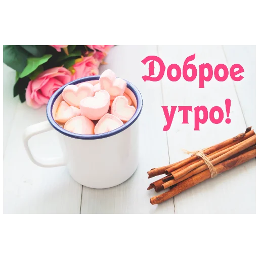 закуска чашка комнатный