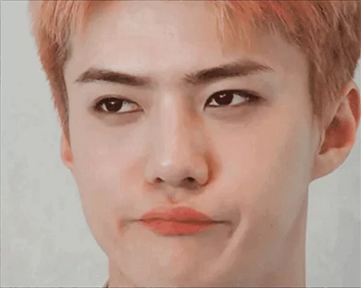 human face eyebrow portrait