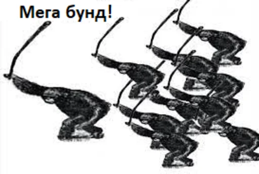 Sticker Express_MT - 1