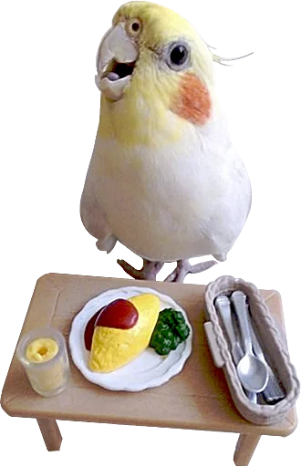 Sticker birbs - 4