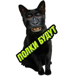 Sticker EXTREME SHOP ² - 11