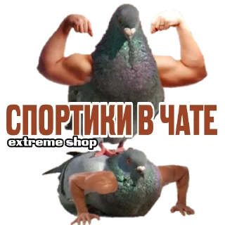 Sticker EXTREME SHOP ² - 8