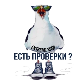 Sticker EXTREME SHOP ² - 0