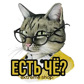 Sticker EXTREME SHOP ² - 3