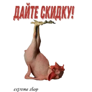 Sticker EXTREME SHOP ² - 10