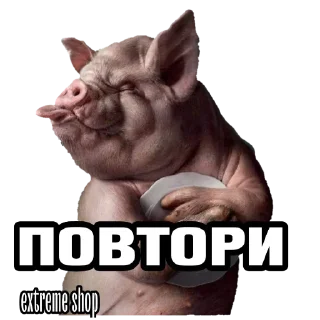 Sticker EXTREME SHOP ² - 5