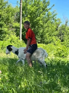 Sticker нолик (Created By: @StikerProBot) - 5