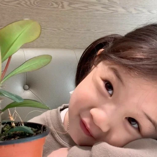 person human face houseplant