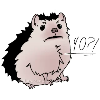 Sticker еж ксюша - 3