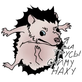 Sticker еж ксюша - 8