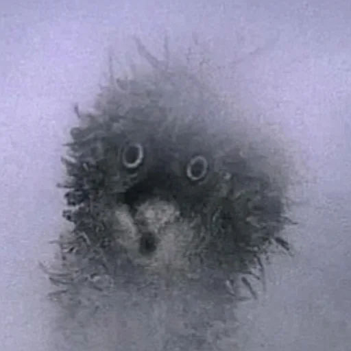 Стикер Ezikvtumane - 1