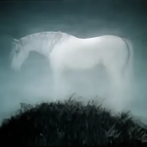 Стикер Ezikvtumane - 1