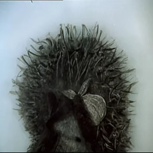 Стикер Ezikvtumane - 1