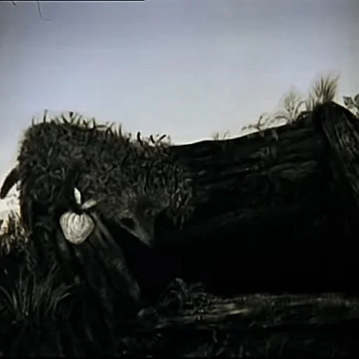 Sticker Ezikvtumane - 1