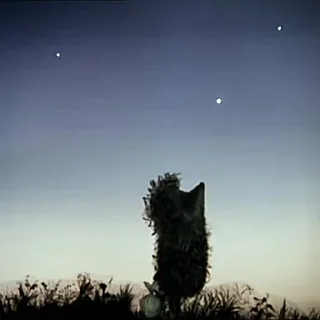 Sticker Mystery @stickersb2b - 9