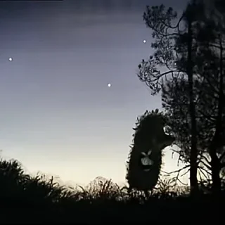 Sticker Mystery @stickersb2b - 4