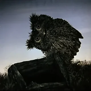 Sticker Mystery @stickersb2b - 2