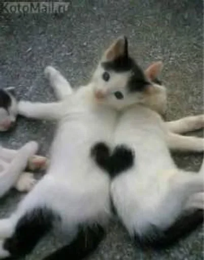 Стикер EzkvAXP_by_achestickbot - 1