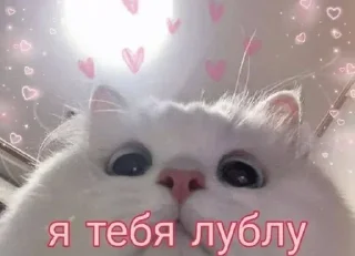 Стикер Больше стиков тут: @stikery4 - 10