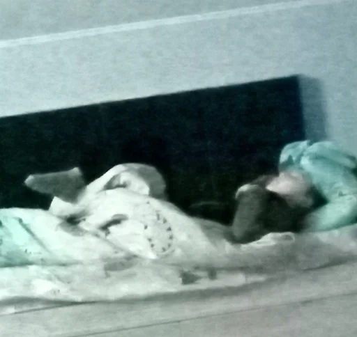 Sticker F4r9C4_by_EmojiRuBot - 1