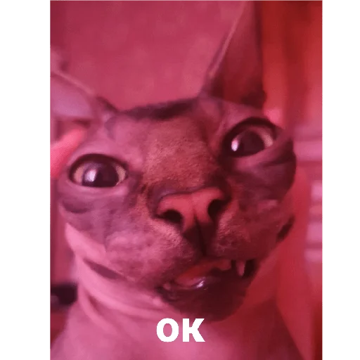 Стикер Фарик легенда - 9