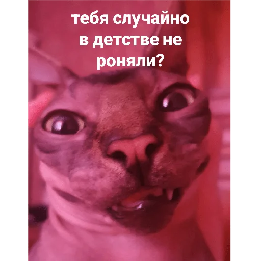 Стикер Фарик легенда - 8