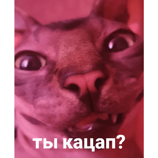 Стикер Фарик легенда - 6