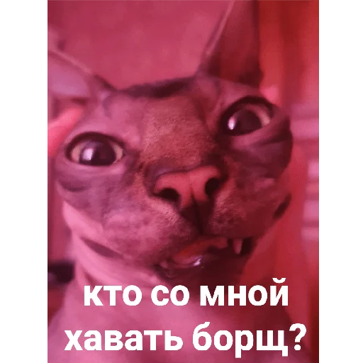 Стикер Фарик легенда - 2