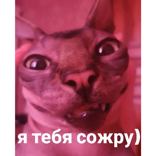 Стикер Фарик легенда - 1