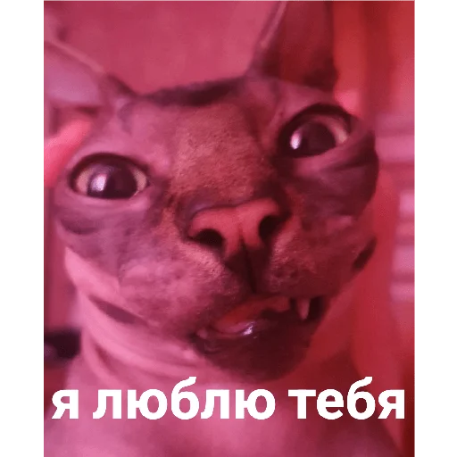 Стикер Фарик легенда - 0