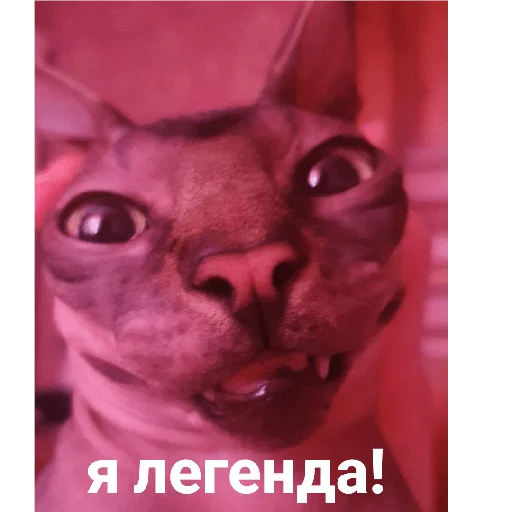 Фарик легенда - 