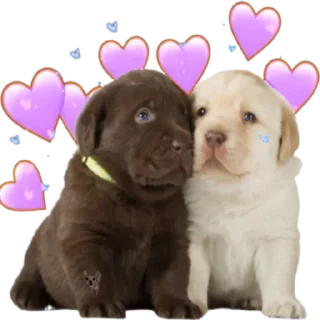 Стикер @sticksbb 🩷 <- канал со стиками - 7