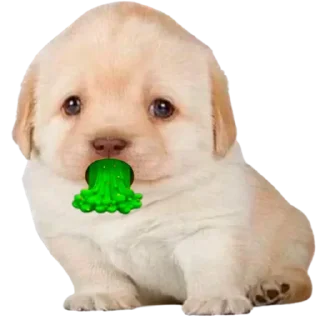 Стикер @sticksbb 🩷 <- канал со стиками - 1