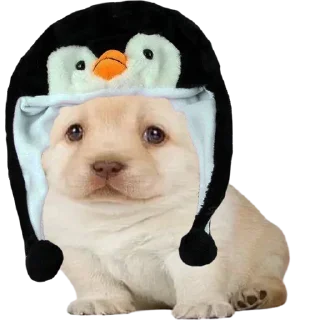 Стикер @sticksbb 🩷 <- канал со стиками - 4