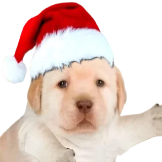 Стикер @sticksbb 🩷 <- канал со стиками - 3