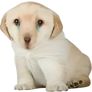 Стикер @sticksbb 🩷 <- канал со стиками - 5