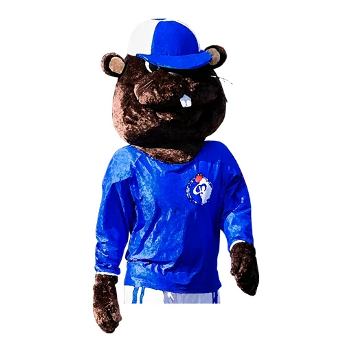 Sticker FC_Fakel - 1