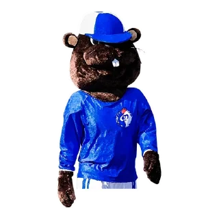 Sticker FC Fakel - 5