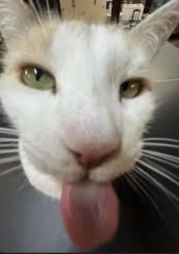 Больше стиков тут: @stikery4 - 