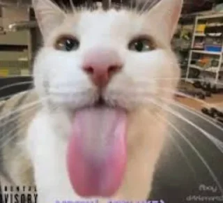 Стикер Больше стиков тут: @stikery4 - 6