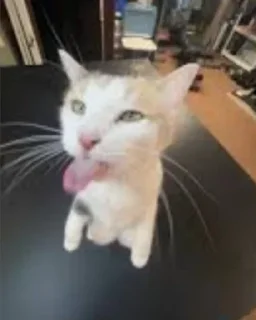 Стикер Больше стиков тут: @stikery4 - 4