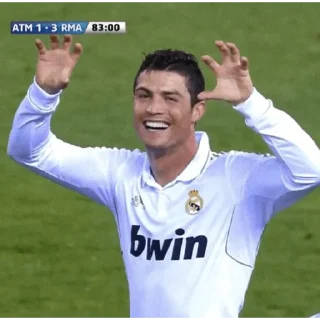 Sticker Mesikushi - 10