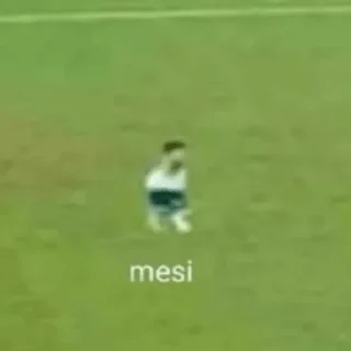 Sticker Mesikushi - 3