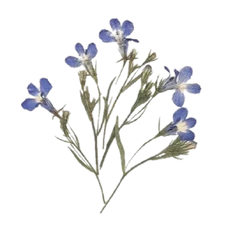 Стикер @sticksbb 🩷 <- канал со стиками - 8