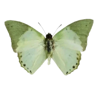 Стикер @sticksbb 🩷 <- канал со стиками - 5