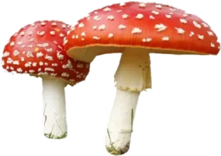 Стикер @sticksbb 🩷 <- канал со стиками - 3