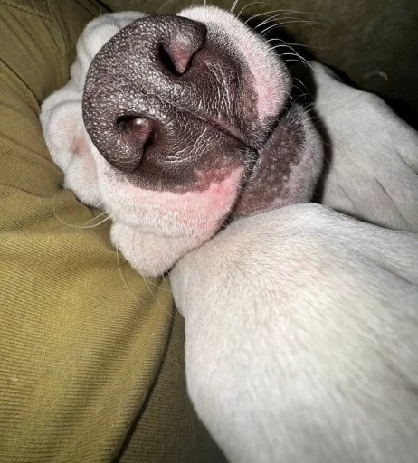 Sticker FDPFDSPFSDF - 1