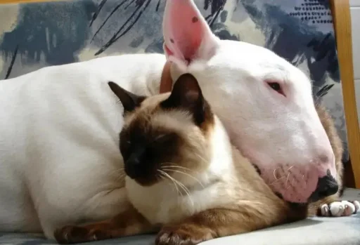 Стикер FDPFDSPFSDF - 1